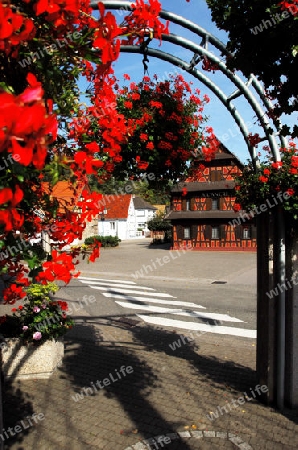 Dorfidylle im Elsass/Frankreich