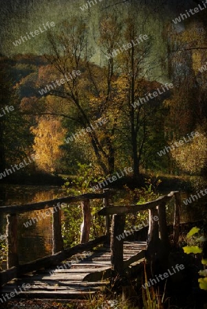 Herbst am See