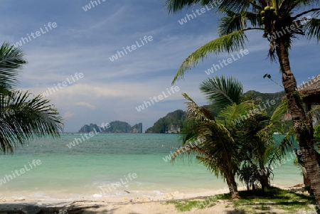 A Beach on the Island of Ko PhiPhi on Ko Phi Phi Island outside of the City of Krabi on the Andaman Sea in the south of Thailand. 