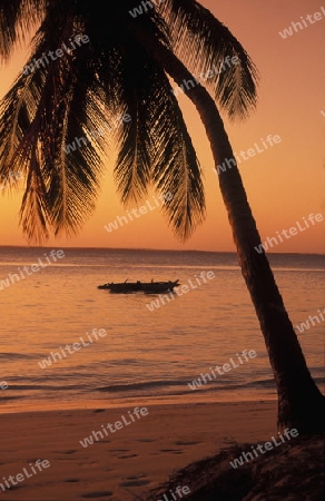 Der Traumstrand  von Michamvi am Chwaka Bay an der Ost-Kueste auf der Insel Zanzibar welche zu Tansania gehoert.         