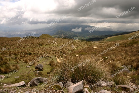 Hochplateau an den Haengen des Vulkans Pichincha, bei Quito, der Hauptstadt Equadors