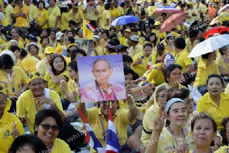 Tausende von Thailaender zelebrieren den Kroenungstag des Koenig Bhumibol auf dem Sanam Luang Park vor dem Wat Phra Kaew in der Stadt Bangkok in Thailand in Suedostasien.  