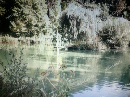 Teich 2