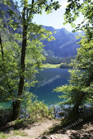 Obersee