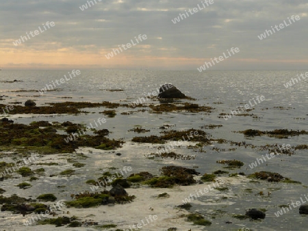 Naturstrand auf der Insel Poel, Ostsee