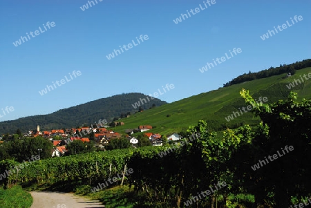 Schwarzwalddorf im Baden-Badener Rebland