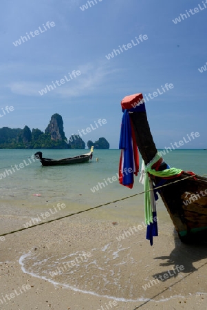 The Hat Tom Sai Beach at Railay near Ao Nang outside of the City of Krabi on the Andaman Sea in the south of Thailand. 