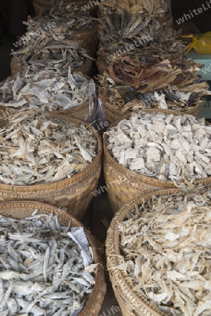 a fish market at a marketstreet in the City of Mandalay in Myanmar in Southeastasia.