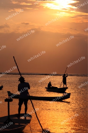 Die Kueste mit Booten in der Seegrass Plantage auf der Insel Nusa Lembongan der Nachbarinsel von Bali, Indonesien.