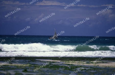 Der Traumstrand  von Michamvi am Chwaka Bay an der Ost-Kueste auf der Insel Zanzibar welche zu Tansania gehoert.         