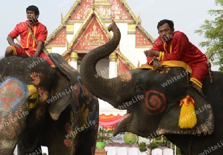 Das Songkran Fest oder Wasserfest zum Thailaendischen Neujahr ist im vollem Gange in Ayutthaya noerdlich von Bangkok in Thailand in Suedostasien.  