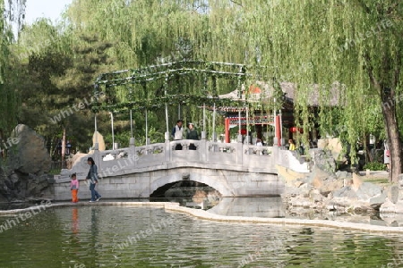 Peking - Grand View Garden 008