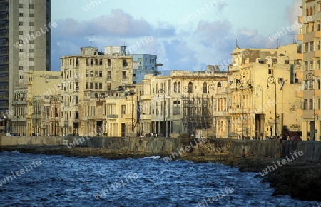 the Malecon road on the coast in the old townl of the city of Havana on Cuba in the caribbean sea