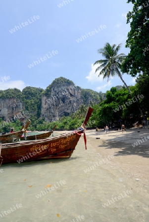 The Hat Tom Sai Beach at Railay near Ao Nang outside of the City of Krabi on the Andaman Sea in the south of Thailand. 