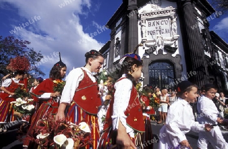 Das Traditionelle Blumenfest in der Hauptstadt Funchal auf der Insel Madeira im Atlantischen Ozean, Portugal.
