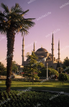 Die Blaue Moschee im Stadtteil Sulranahmet in Istanbul in der Tuerkey.