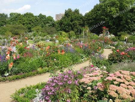 Hamburg, Sommer in Planten un Blomen