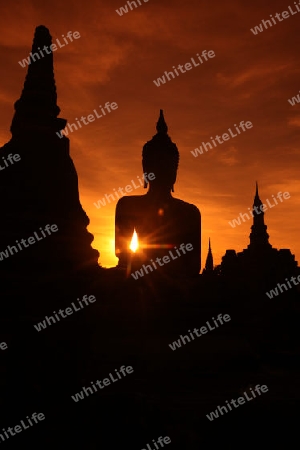 Eine Buddha Figur  im Wat Mahathat Tempel in der Tempelanlage von Alt-Sukhothai in der Provinz Sukhothai im Norden von Thailand in Suedostasien.