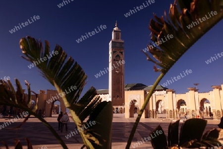 The Hassan 2 Mosque in the City of Casablanca in Morocco , North Africa.