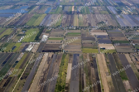 Die Landwirtschaft am rande der Stadt Bangkok in Thailand in Suedostasien.