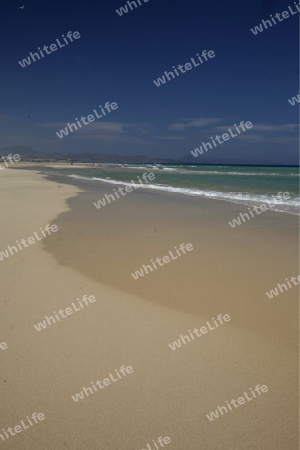 the Playa de Satovento de Jandia on the south of the Island Fuerteventura on the Canary island of Spain in the Atlantic Ocean.