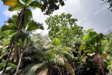 Beautiful impressions of the tropical landscape paradise on the Seychelles islands