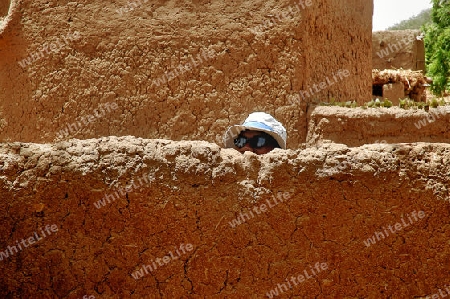 Ein Blick ?ber die Mauer