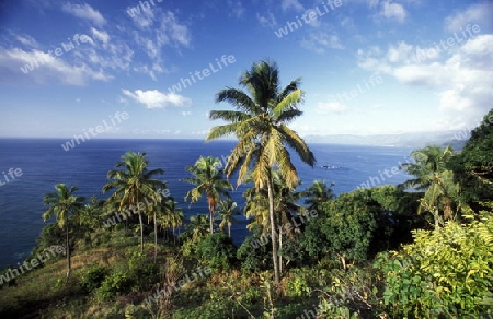 the landscape on the coast of the village Moya on the Island of Anjouan on the Comoros Ilands in the Indian Ocean in Africa.   