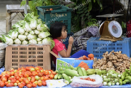 Der Markt im Dorf Mae Hong Son im norden von Thailand in Suedostasien.