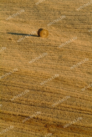 Strohballen am weizenfeld