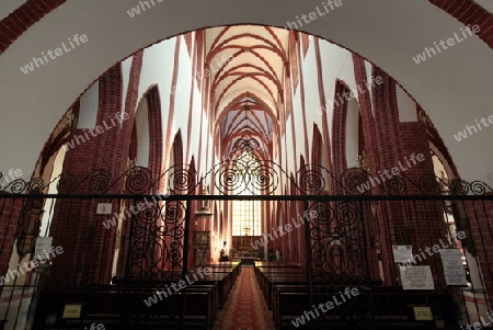 Das Innere der Kathedrale in der Innenstadt von Wroclaw oder Breslau im westen von Polen.