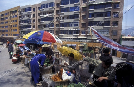 a market street in the city of Shenzhen north of Hongkong in the province of Guangdong in china in east asia. 