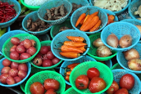 Gemuese auf dem Markt von Nonthaburi im Norden von Bangkok der Hauptstadt von Thailand in Suedostasien.  