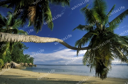 Ein Traumstrand auf der Insel La Digue der Inselgruppe Seychellen im Indischen Ozean in Afrika.