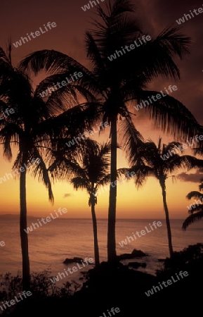 the landscape on the coast of the village Moya on the Island of Anjouan on the Comoros Ilands in the Indian Ocean in Africa.   