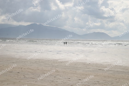 Strand mit Spazierg?nger