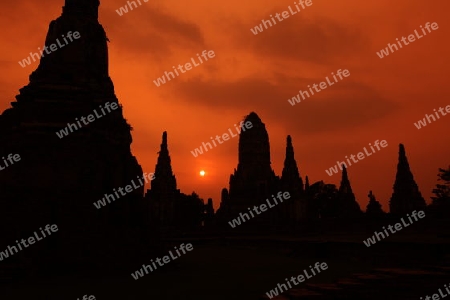 Der Wat Chai Wattanaram Tempel in der Tempelstadt Ayutthaya noerdlich von Bangkok in Thailand