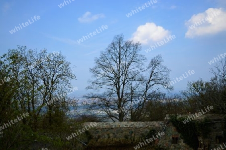 Burg Frankenstein Ausblick