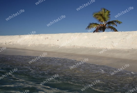 Suedamerika, Karibik, Venezuela, Los Roques, Insel, Atoll, Archipfel, Strand, Beach, Strandinsel, Meer, Wetter, Reef, Ferien, Baden, Traumstrand, Palme, Sandstrand, Kueste