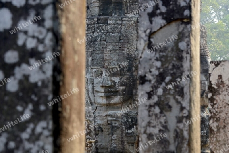 Stone Faces the Tempel Ruin of Angkor Thom in the Temple City of Angkor near the City of Siem Riep in the west of Cambodia.