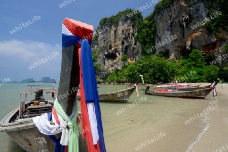 The Hat Tom Sai Beach at Railay near Ao Nang outside of the City of Krabi on the Andaman Sea in the south of Thailand. 