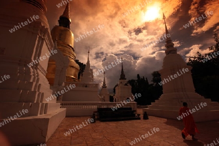 Die Architektur des Wat Suan Dok Tempel in Chiang Mai im Norden von Thailand.