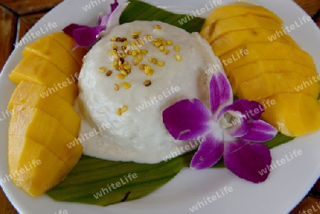 a Thai desert rice with mango in a restaurant at the Hat Railay Leh Beach at Railay near Ao Nang outside of the City of Krabi on the Andaman Sea in the south of Thailand. 