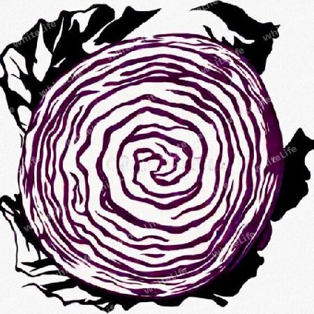 Rotkohl