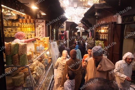 a smal Marketroad in the Medina of old City in the historical Town of Fes in Morocco in north Africa.