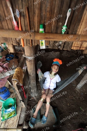 Eine Traditionell gekleidete Langhals Frau eines Paudang Stammes aus Burma lebt in einem Dorf noerdlich von Chiang Mai in Nord Thailand. 