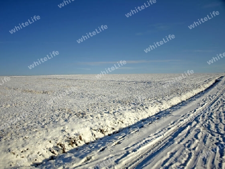 Winterlandschaft