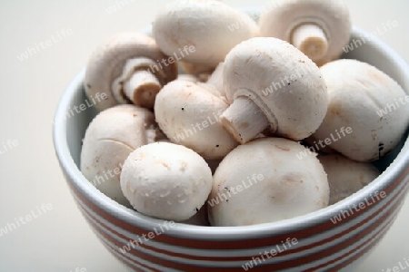 Frische Champignons