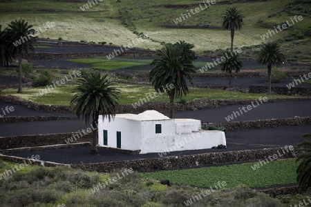 a traditional withe House on the Island of Lanzarote on the Canary Islands of Spain in the Atlantic Ocean.
