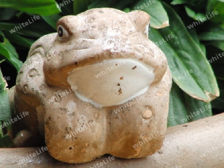 Frosch